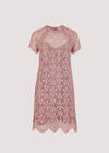 Lace Mini Dress, Pink, large