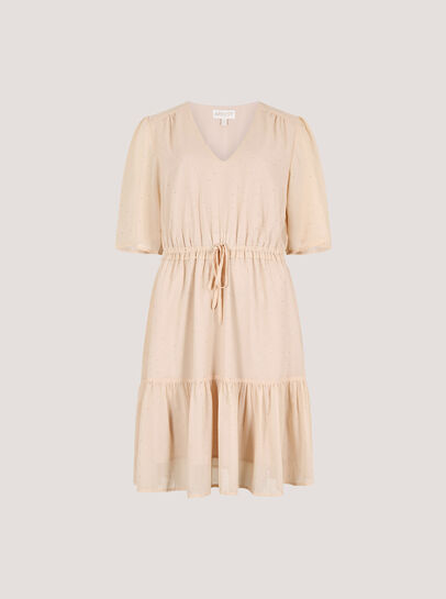 Diamante Chiffon Mini Dress