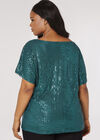 Curve Sequins Shimmer Top, Green, large
