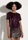 Sequin Embellished T-Shirt, Burgundy, large