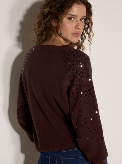 Sequin Sleeve Ribbed Knit Jumper