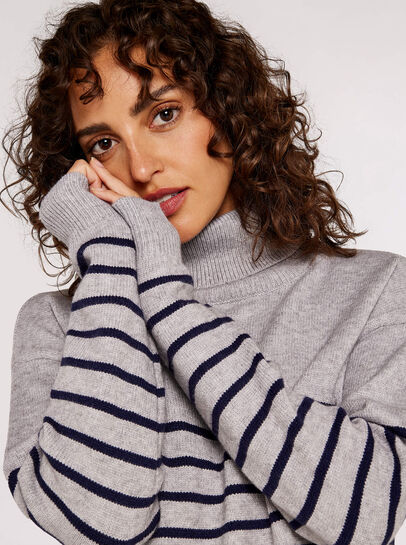 Striped Roll Neck Jumper