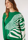 Pull surdimensionné à motif zèbre, vert, grand