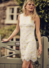 Daisy Lace Sleeveless Shift Dress, Cream, large