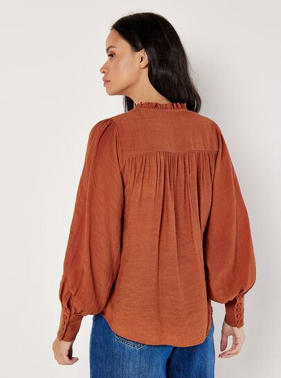 Ruffle Neck Textured Blouse