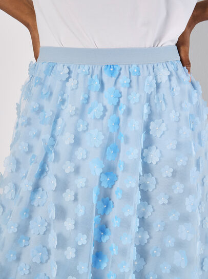 Applique Flowers Tulle Midi Skirt