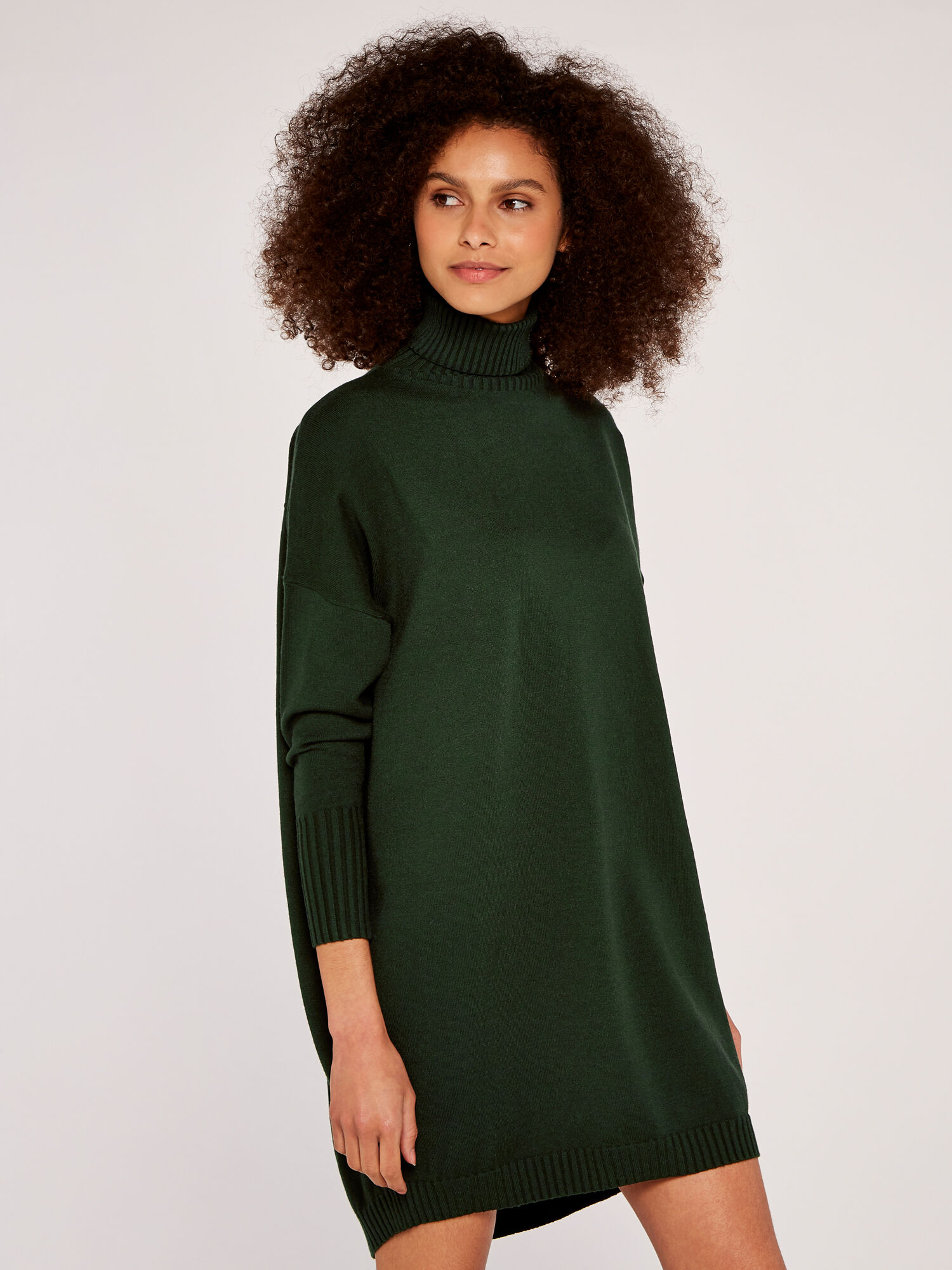 Turtle neck jumper dress store
