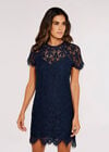 Lace Mini Dress, Navy, large