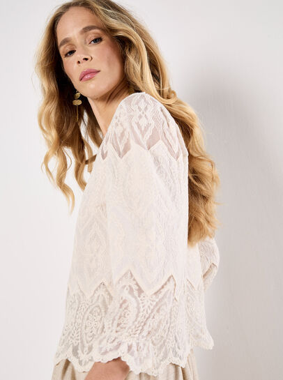 Embroidered Mesh Button Down Top