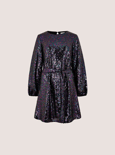 Sequin Embellished Mini Dress