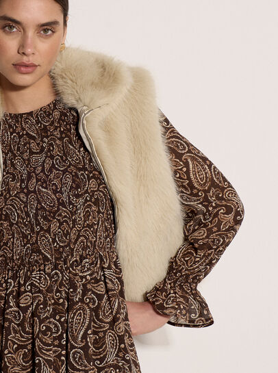 Paisley Chiffon Mini Dress