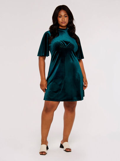 Curve Velvet Mini Dress
