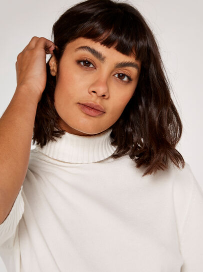 Turtle Neck Jumper