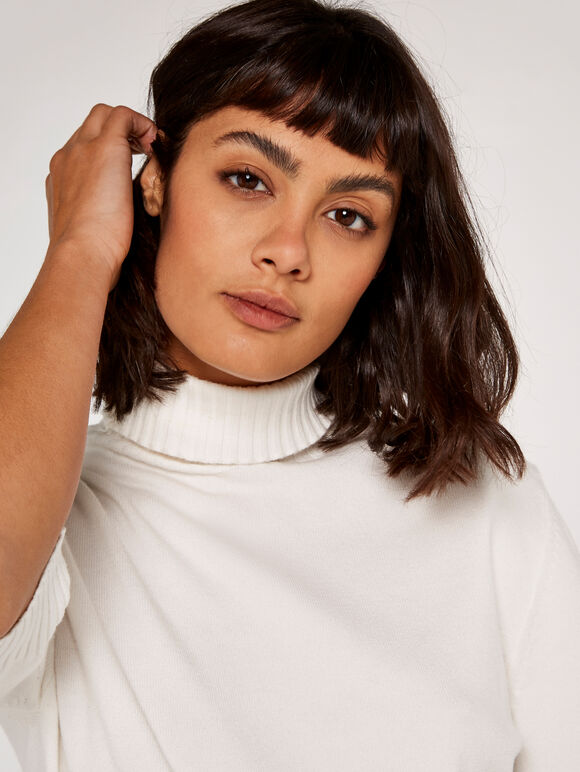 Turtle Neck Jumper, Cream, large