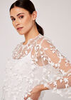Lace Applique Mesh Top, Cream, large