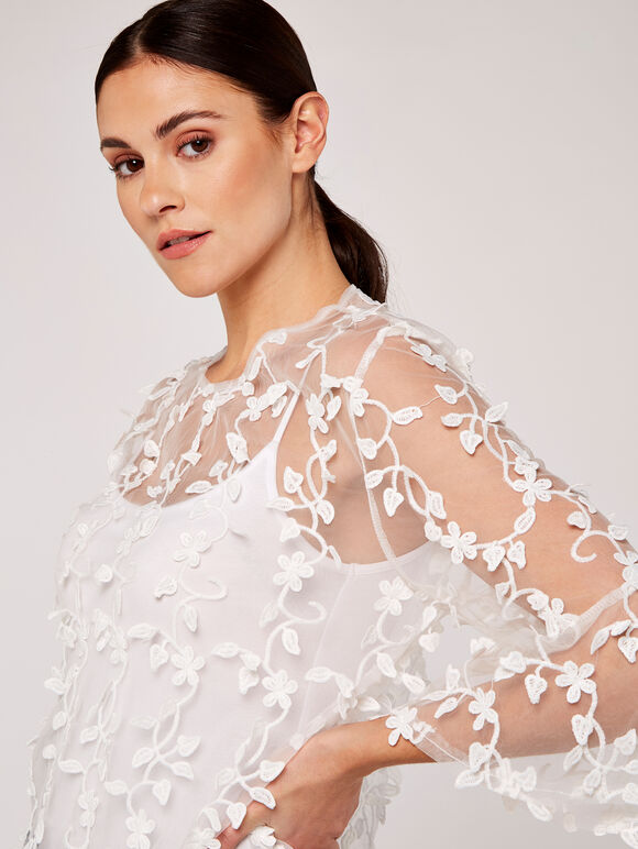 Lace Applique Mesh Top, Cream, large