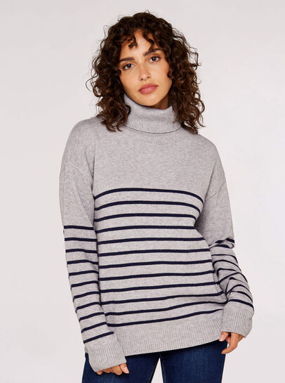 Striped Roll Neck Jumper