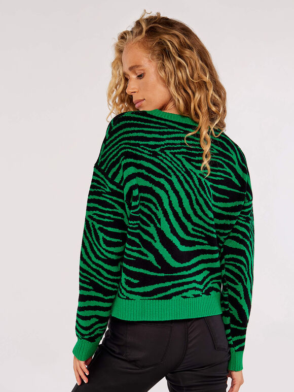 Bright Zebra Chunky Knit Jumper, Vert, grand