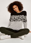 Animal Colourblock Stripe Jumper, Grey, large