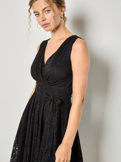 Floral Lace Fit And Flare Mini Dress