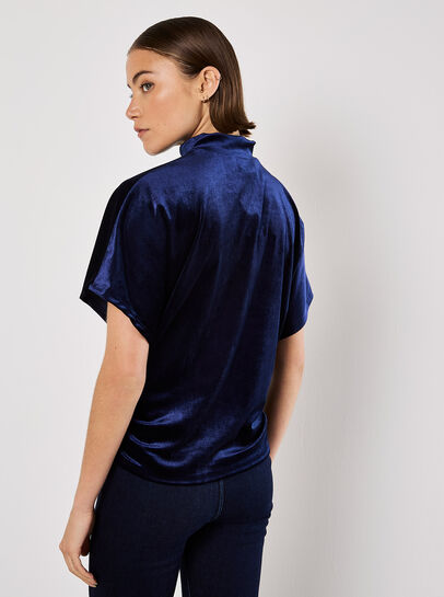 Velvet Ruched Side Top