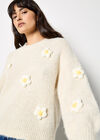 3D Daisy Embellished Oversized Jumper, Stone, large