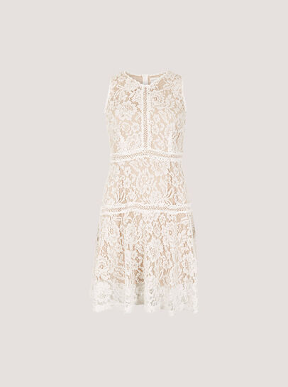 Lace Skater Mini Dress