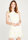 Daisy Lace Sleeveless Shift Dress, Cream, large