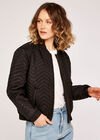 Quilted Bomber Jacket, Black, large