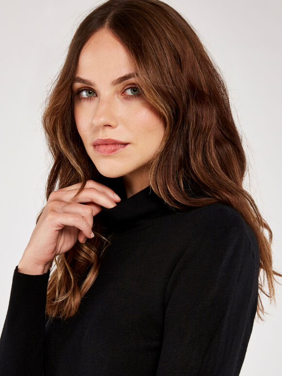 Tiny Rib Roll Neck Jumper, Black, large