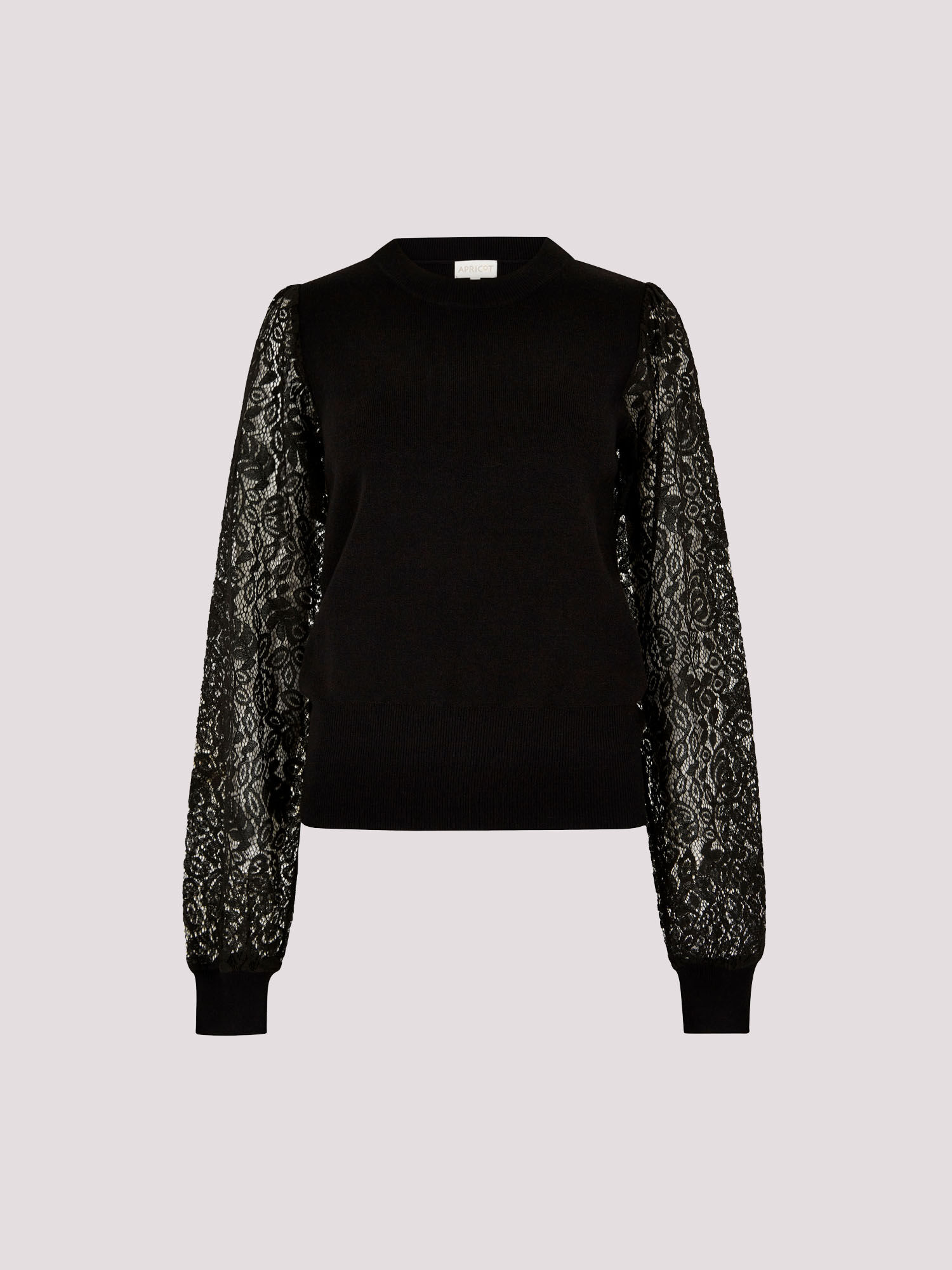 パリコレクション Lace Sleeve Clothing Apricot | Jumper トップス
