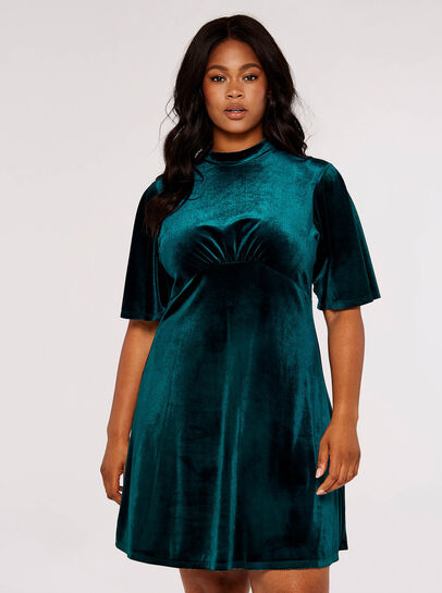 Curve Velvet Mini Dress