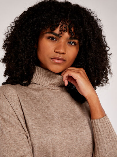 Roll Neck Knit Jumper Dress
