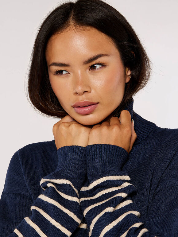 Striped Roll Neck Jumper, Navy, large