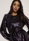 Sequin Embellished Mini Dress, Assorted, large
