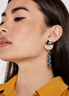 Resin Drop Earring, Assorted, large