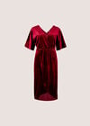Velvet Wrap Mini Dress, Burgundy, large