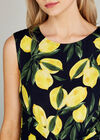 Navy Lemon Print Knot Front Dress, Navy, large