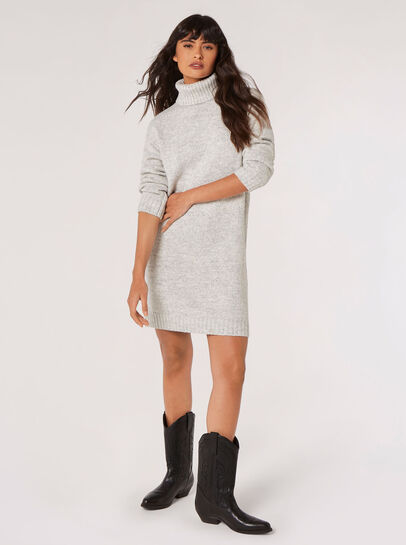 Chunky Roll Neck Jumper Mini Dress