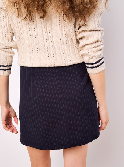 Pinstripe A-Line Skirt