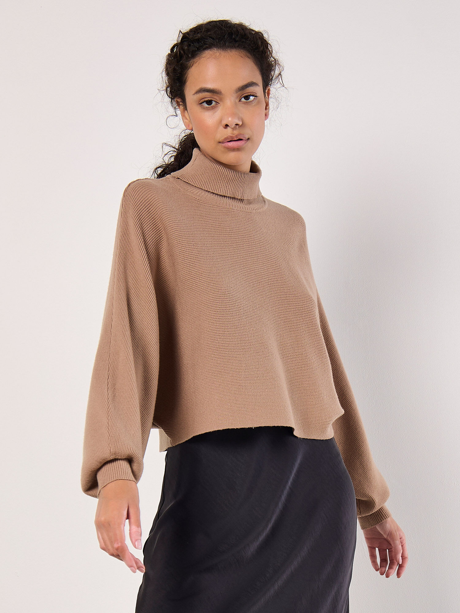 Ribbed Roll Neck Batwing Jumper | Apricot Clothing