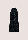 Velvet Sequin Mini Dress, Assorted, large
