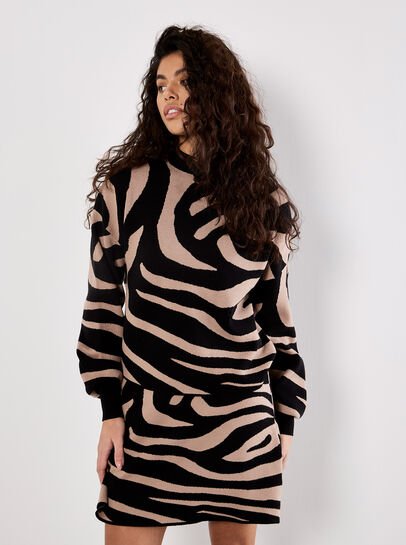 Zebra Print Jumper