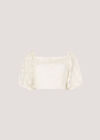 Daisy Mesh Cropped Top, Cream, large
