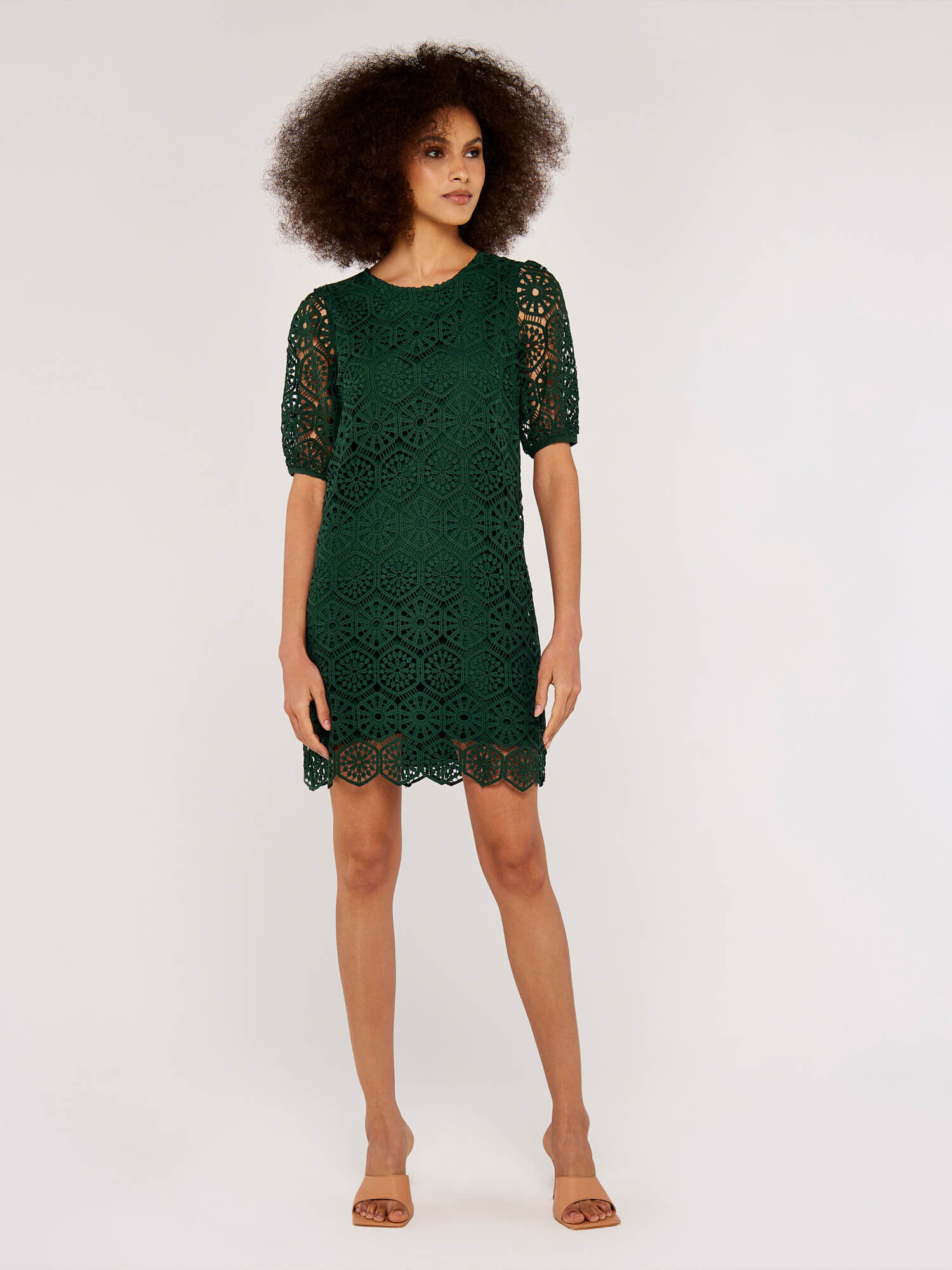 Green lace shift dress top