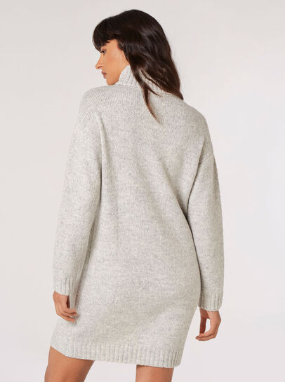 Chunky Roll Neck Jumper Mini Dress