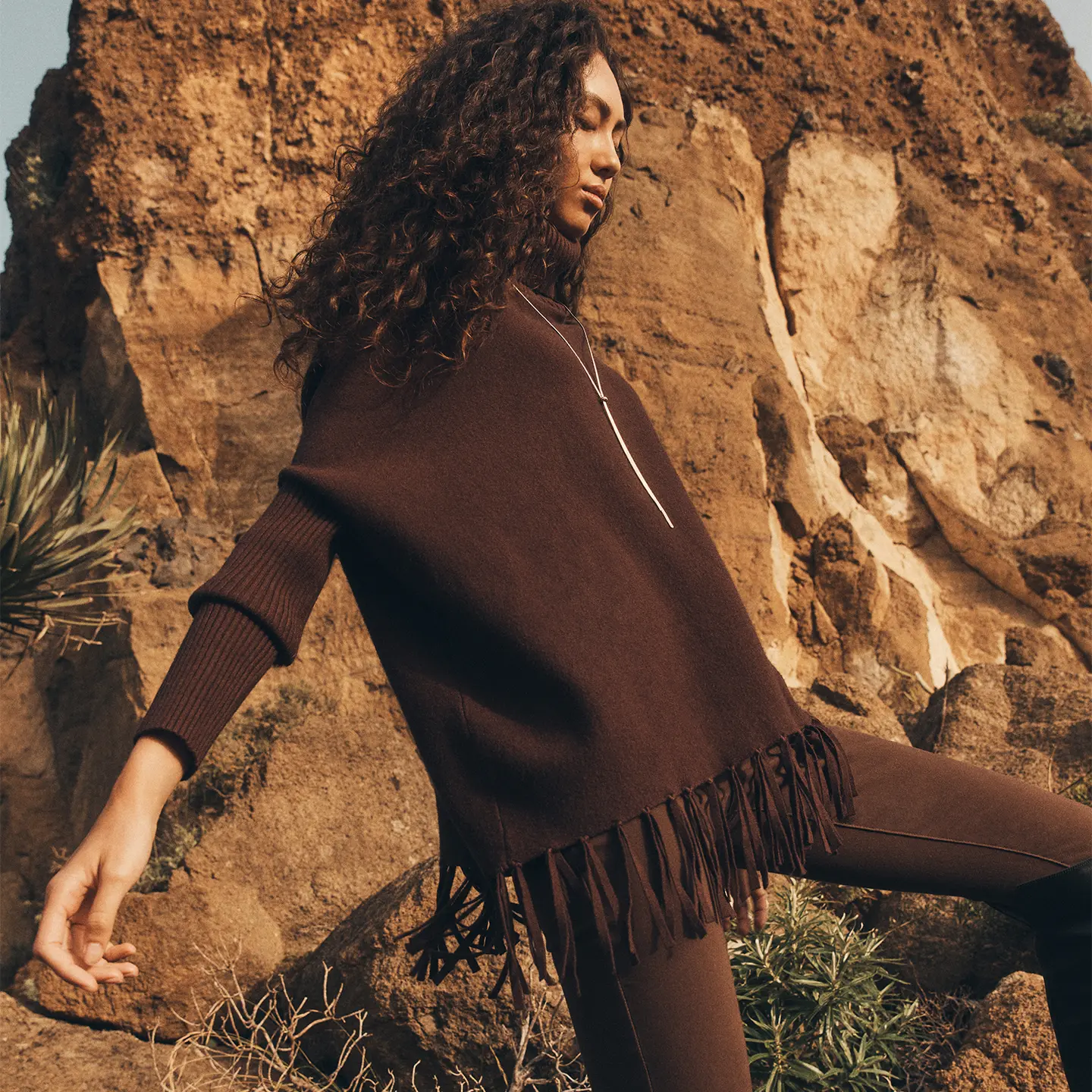 The Brown Edit